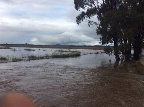 Lawrence-Farm-paddocks-Temora.jpg